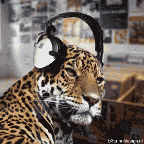 Animated leopard with headphones digging some tunes as the customers escape