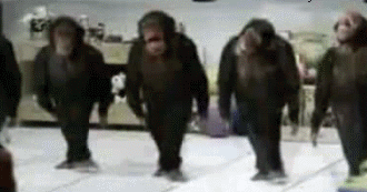 Animated gif River Dance chimps moving gif picture