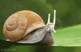 Animated gif power snail ready for take-off moving picture