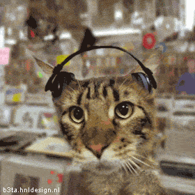 Animated-head-bobbing-cat-with-headphone