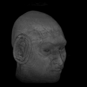 Animated head scan