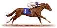 Animated horse race jockey galloping in a race in horse number 1