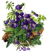 Animated picture of Mum's Day flowers in basket
