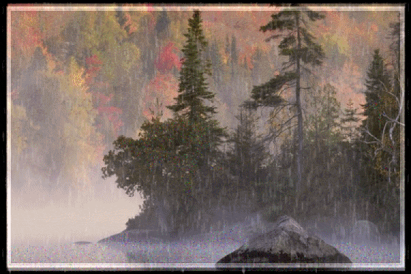 Animated-rain-storm-with-fall-colors at lake
