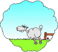 A picture of sheep jumping fences in your dreams