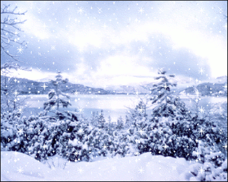 Animated-snowstorm-on-pine-trees-at-lake-gif.gif