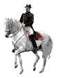 White horse sauntering with horseback rider wearing a uniform