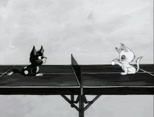 Animated moving cartoon cats playing ping pong