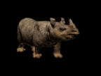 Animated moving rhino walking animation