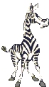 Animated zebra looking back and forth