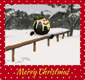 Rapid self delivery of special Christmas pudding goes wrong, you may want to pick up your own from the store not the floor.
