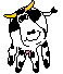 Happy spotted cow with a wiggly head