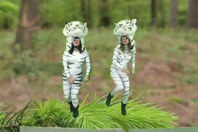 [Image: Dancing-tigers.gif]