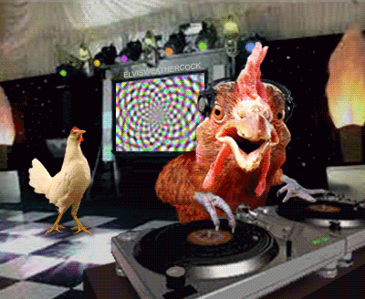 Funky moving animated rooster D J doin' a little chicken scratch of his own on the turntable while a hen kicks it up on the dance floor