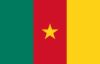Flag 0f Cameroon Static Image