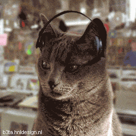 Forum Image: http://www.netanimations.net/FunkCat.gif