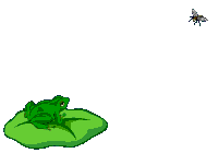 Image result for frog animated gif