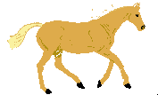 Tan Horse running animated gif clip art