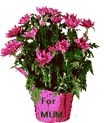 Animated picture of Mum's Day flowers in flower pot
