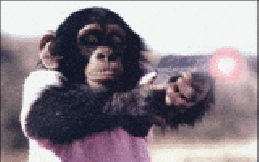 Moving-animated-picture-of-monkey-shooti