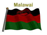 Malawi flag flapping on flag pole with word "Malawi" spinning over animation