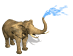 Moving picture elephant spraying water from trunk animated gif