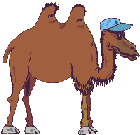 Animated brown two humped camel wiggling humps