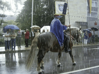 Raining on my parade animation, people standing in the rain with their umbrellas watching as a horse and rider walk by in the  pouring rain 