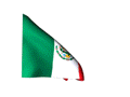 Real looking Mexico flag waving in wind moving animated gif picture