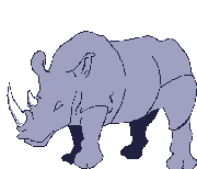 Animated rhinoceros standing and sleeping on his feet