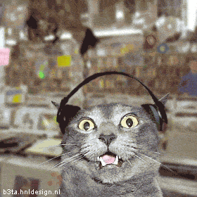 Animated cat in a record store listening to music on headphones