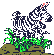 Moving clip art picture of zebras swishing their tails 