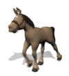 animated donkey walking quickly