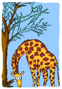 Clip art image of a giraffe eating leaves in a tree