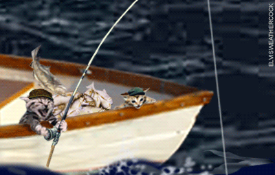 Fish, Fisherman, Angler, Fishing And Boat Animations