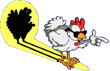 Chicken in the spotlight