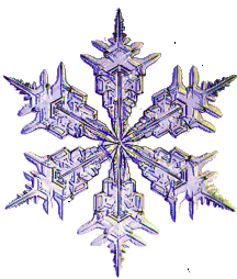 Image result for snowflake gif