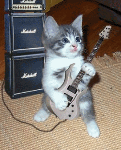 [Image: guitar_cat.gif]