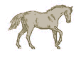 Grey horse running animation