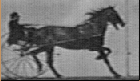 Old photographic animation of horse and buggy