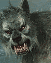Image result for werewolf animated gif