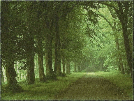 Animated moving rain storm down tree covered lane