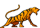 animatedroaring tigeranimation