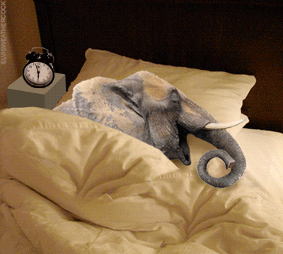 One of my favorite Elvis Weathercock animated gifs - Snoring elephant can't hear the alarm clock ringing and sleeps in through the morning matinee