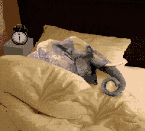 Nice sample of Elvis Weathercock animated gifs - Snoring elephant can't hear the alarm clock ringing and sleeps in through the morning matinee at the circus