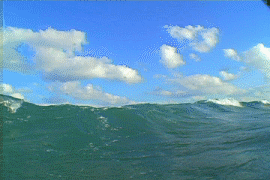 Ocean waves beginning to break as they approach shallow water near the shoreline