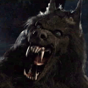 Dark evil looking werewolf with huge teeth looking at you for lunch