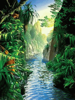 Small stream running through a canyon in a lush tropical rainforest