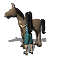 Moving animation of girl grooming rubbing horse coat