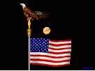 American flag, eagle and fireworks animation gif celebrating Independence Day